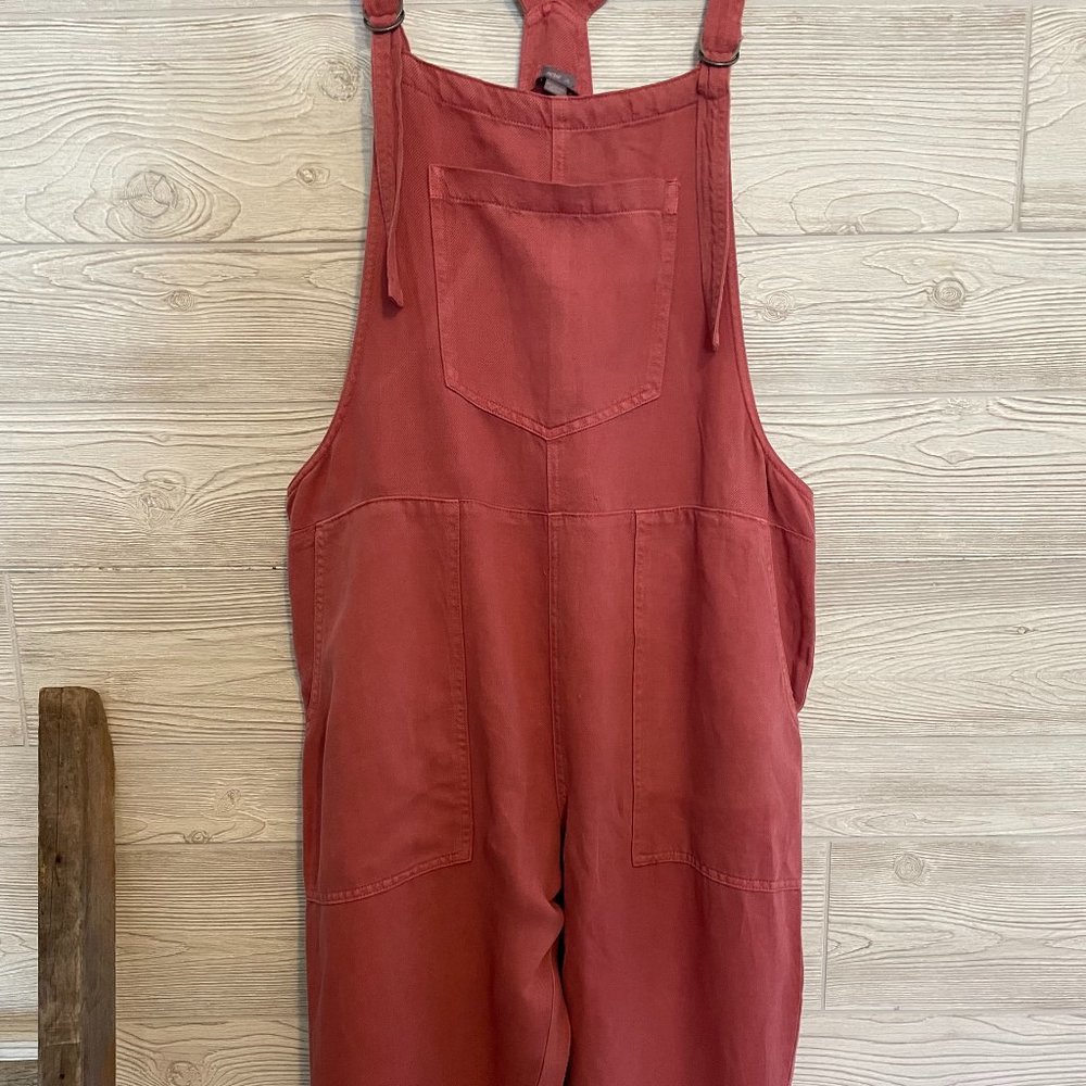 Aerie Overalls